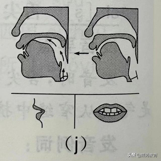 拼音j的正确书写格式图片（拼音j的正确书写格式视频）
