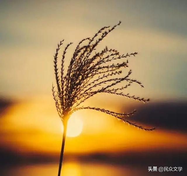 闲话随笔（文艺杂谈）