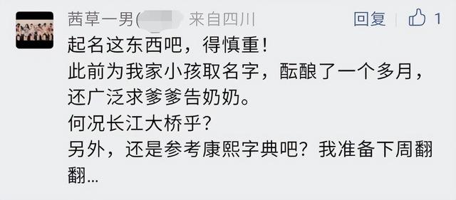 创意分加满！这届网友给泸州长江二桥取的名字太有才了