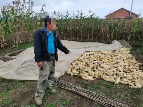 什地什么意思？这个地是什么意思！