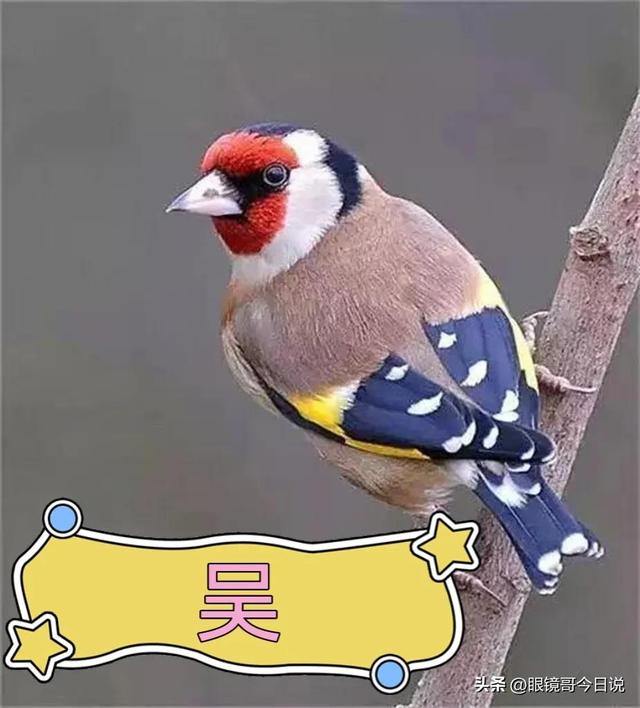 吴字取名男宝宝三个字？吴字取名男宝宝三个字的名字！