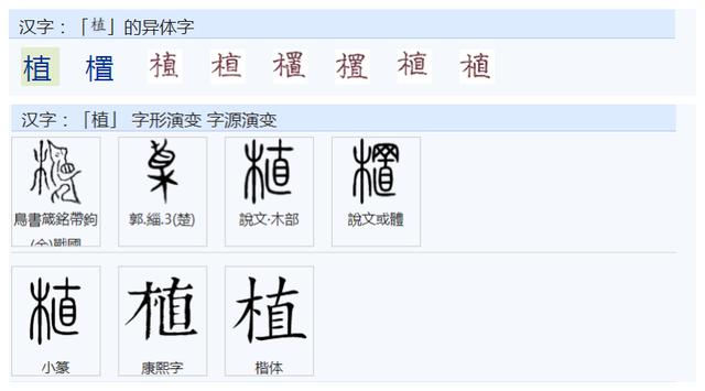 森字取名的寓意（森字的寓意和含义）