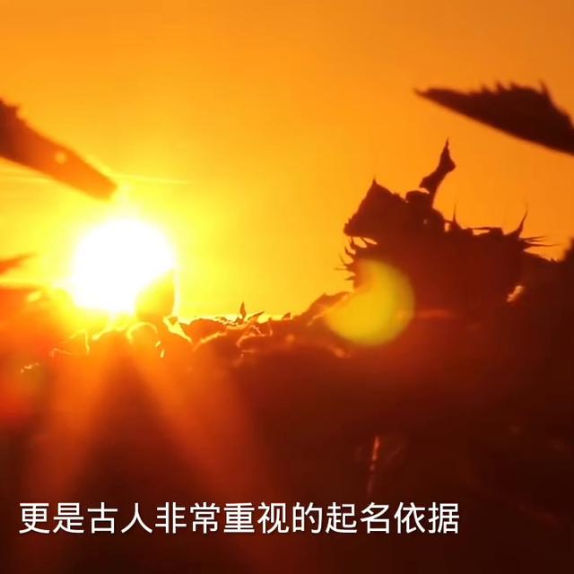 起名知识技巧之_生辰八字推五行#五行起名