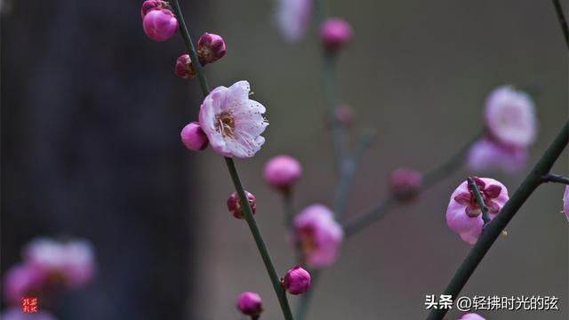 中国诗词35首经典名作，35座巅峰之美，哪首才是你心中的至爱呢？