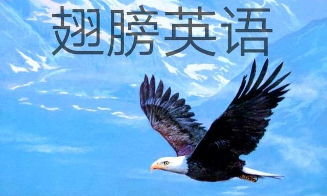 she开头的成语？舌开头的成语！