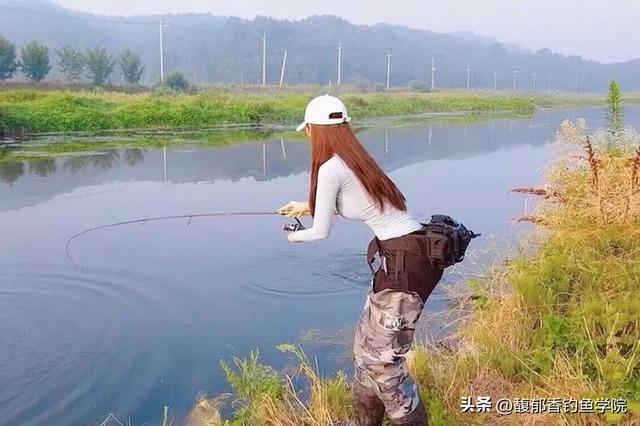 媛的意思？媛的意思和含义！