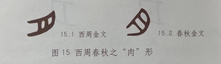 肉字？肉字旁的字！