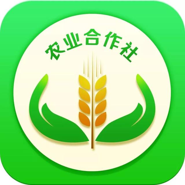 合作社名称取名大全集（农业合作社起名大全免费）