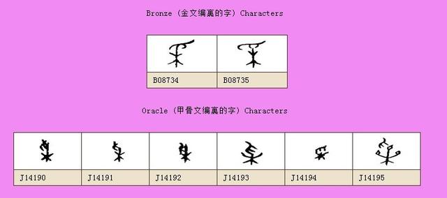 采字五行属什么寓意（采字五行属什么属性）