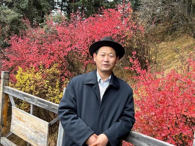 芊字五行属什么？芊字五行属什么寓意！