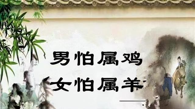 农村俗语“男怕属鸡，女怕属羊”，这是什么道理？你相信吗