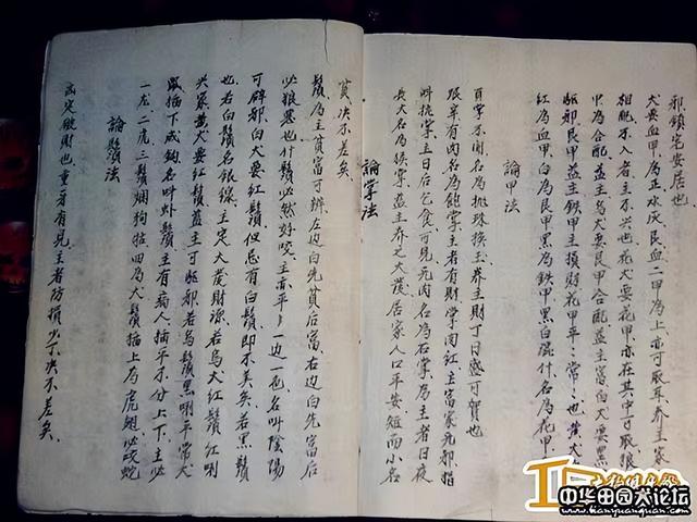 相字五行属什么生肖（相字五行属什么意思）