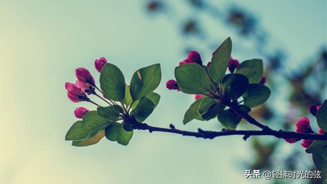 中国诗词35首经典名作，35座巅峰之美，哪首才是你心中的至爱呢？