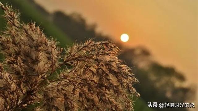 中国诗词35首经典名作，35座巅峰之美，哪首才是你心中的至爱呢？