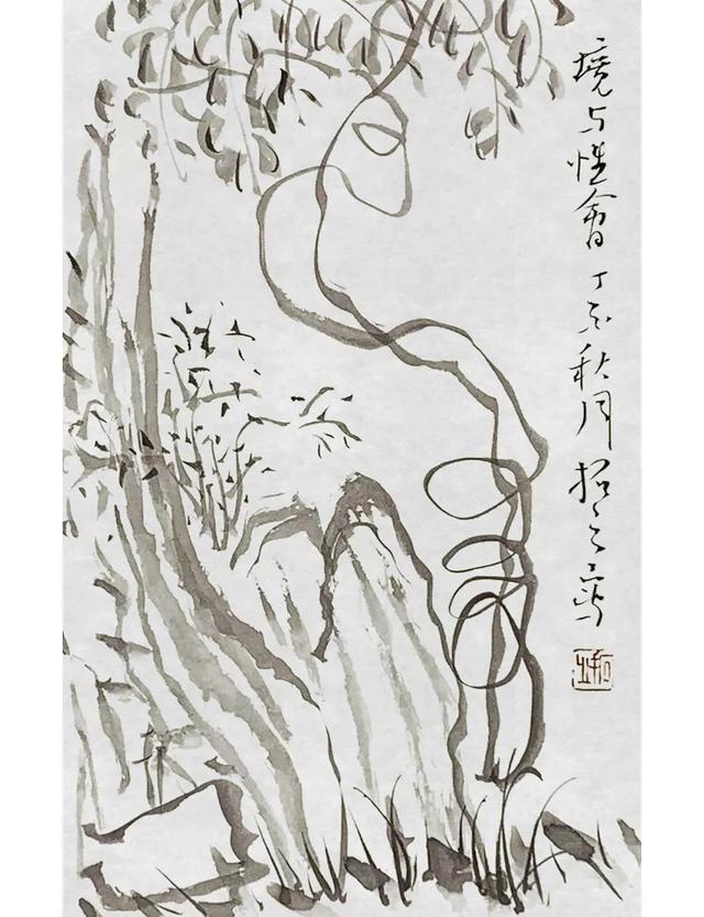 积五行属什么属性（五行药拓的专业知识）