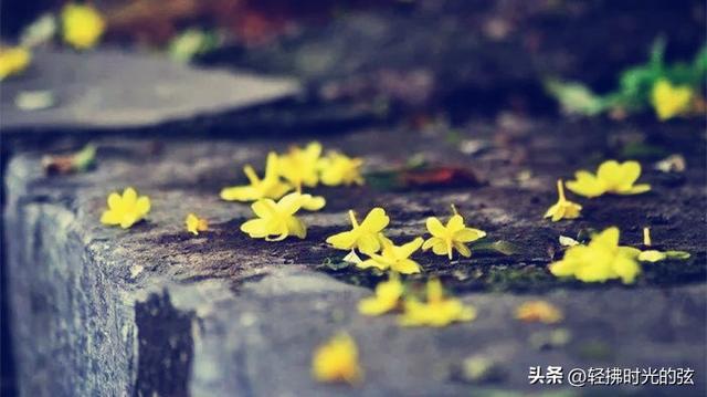 中国诗词35首经典名作，35座巅峰之美，哪首才是你心中的至爱呢？
