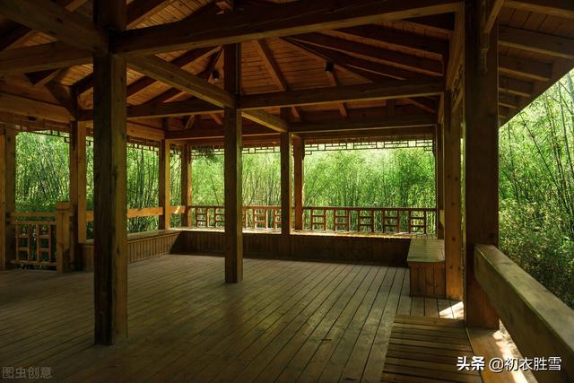 绿字五行属什么和意义（绿字五行属什么的可以取名字吗）