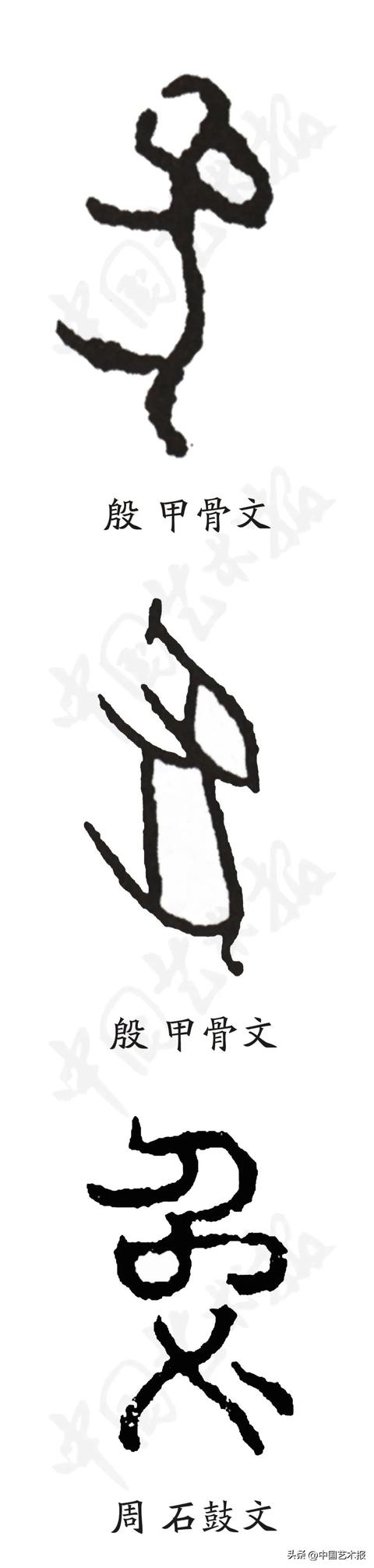 兔字？兔字成语谐音！