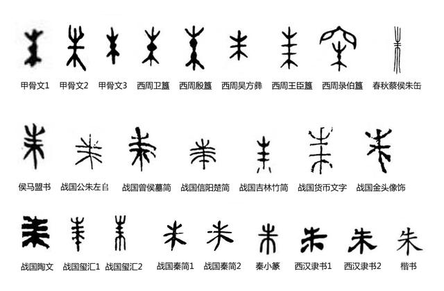 朱字的含义五行属什么（朱字五行属啥）