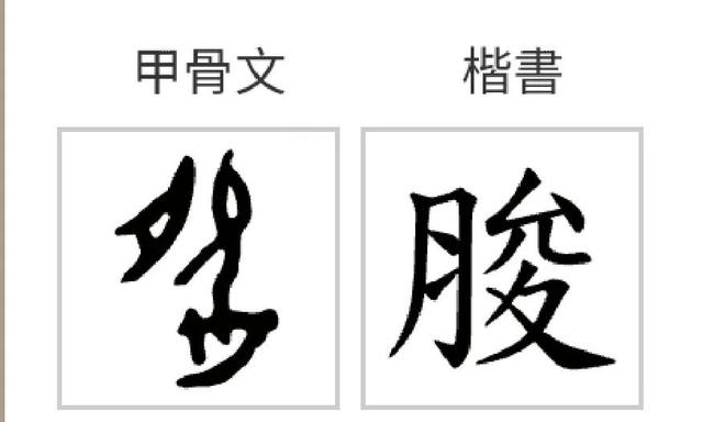 《道德经》唯物辩证法：第五十五章“含德之厚”的哲学本义