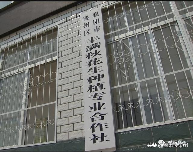 建材公司起名大全免费？建材公司起名大全免费三个字！