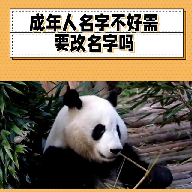 成人起名,成人起名吉祥财运好的名字有哪些？