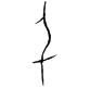 千字五行属什么（科字五行属什么）