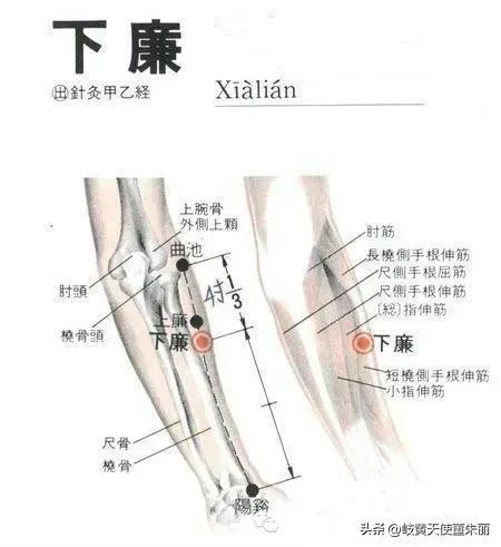 谧的意思？谧的意思解释！