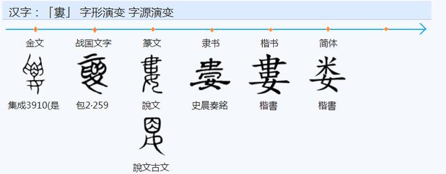 斯字取名的寓意女孩（斯字取名的寓意男孩）