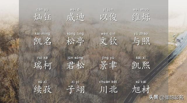 起名常用字库大全八画女孩，起名常用字库大全女孩