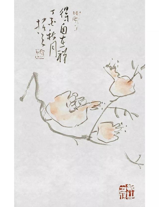 积五行属什么属性（五行药拓的专业知识）