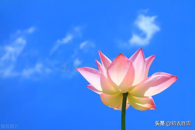 绿字五行属什么和意义（绿字五行属什么的可以取名字吗）