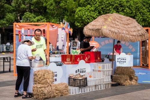 郦荟（郦荟视频播放）