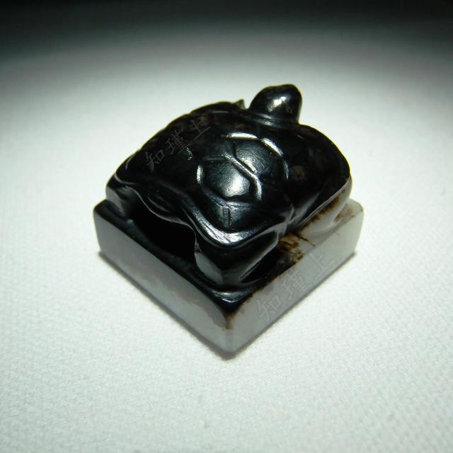 玺字取名寓意好吗男孩（玺字取名寓意贵阳金阳新区所有高校）