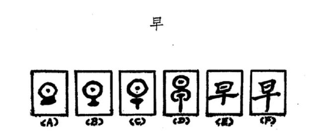 晚字五行属什么意思及解释（晚字五行属什么意思和含义）