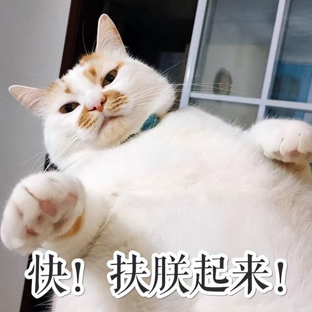 起名禁忌哪些字好听？起名禁忌哪些字好！
