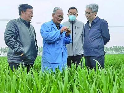 满字在五行属什么满字五行属什么,有什么