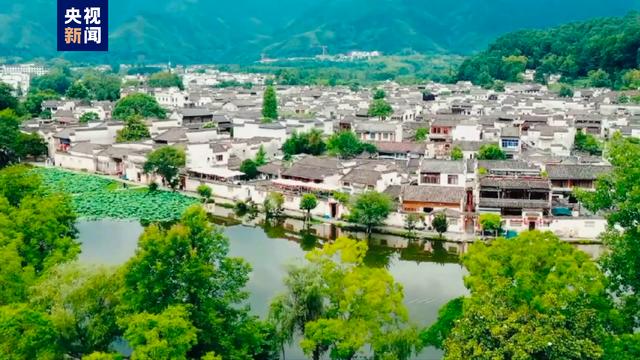 茹字的五行属性是什么茹字的五行属性是什么意思