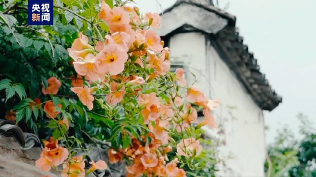 茹字的五行属性是什么茹字的五行属性是什么意思