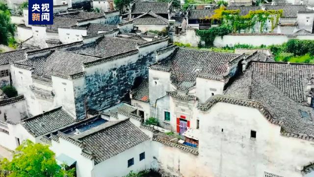 茹字的五行属性是什么和什么茹字的五行属性是什么呢