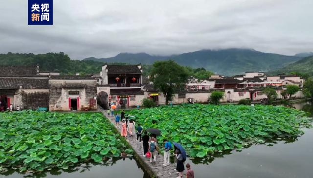 茹字的五行属性是什么和什么茹字的五行属性是什么呢
